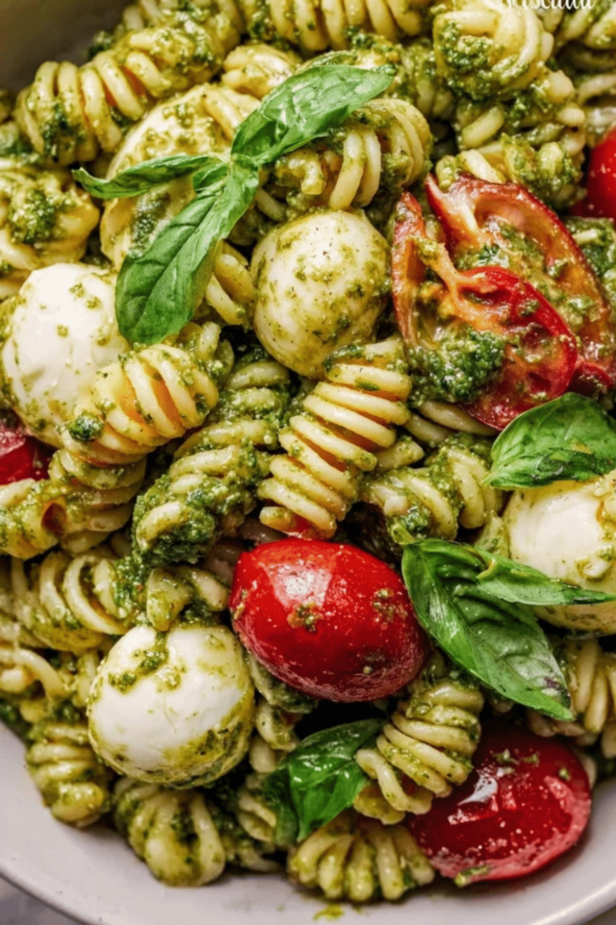 Pesto Pasta Salad