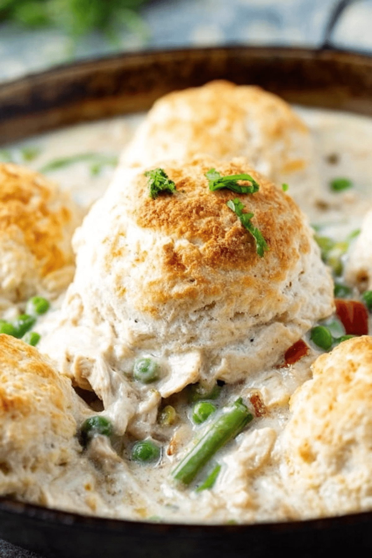 Country Chicken and Biscuits Recipe: Comfort Food at Its Best - Recipes ...