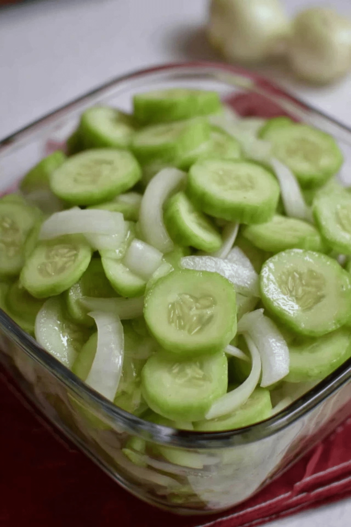 Cucumber and Onions in Vinegar