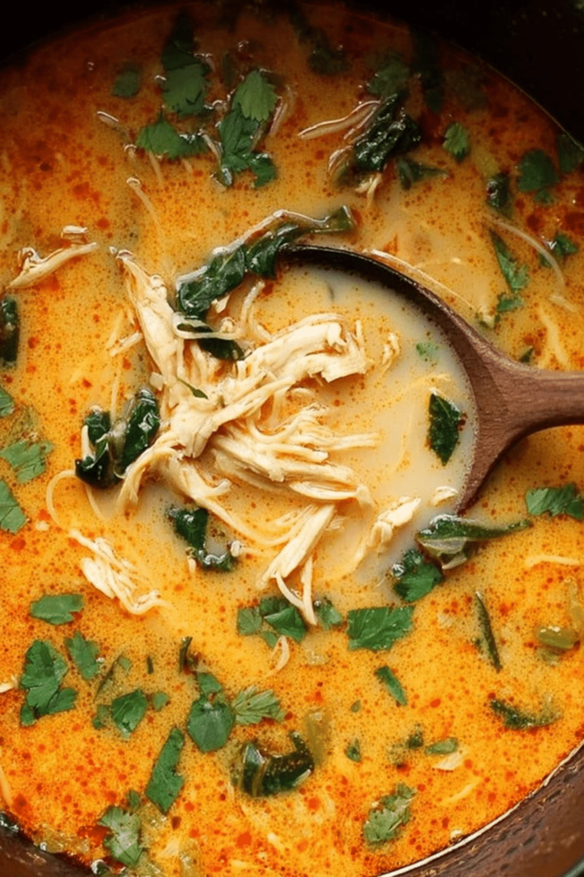 Easy Thai Chicken Curry Soup Recipe - Recipes by Lucelle