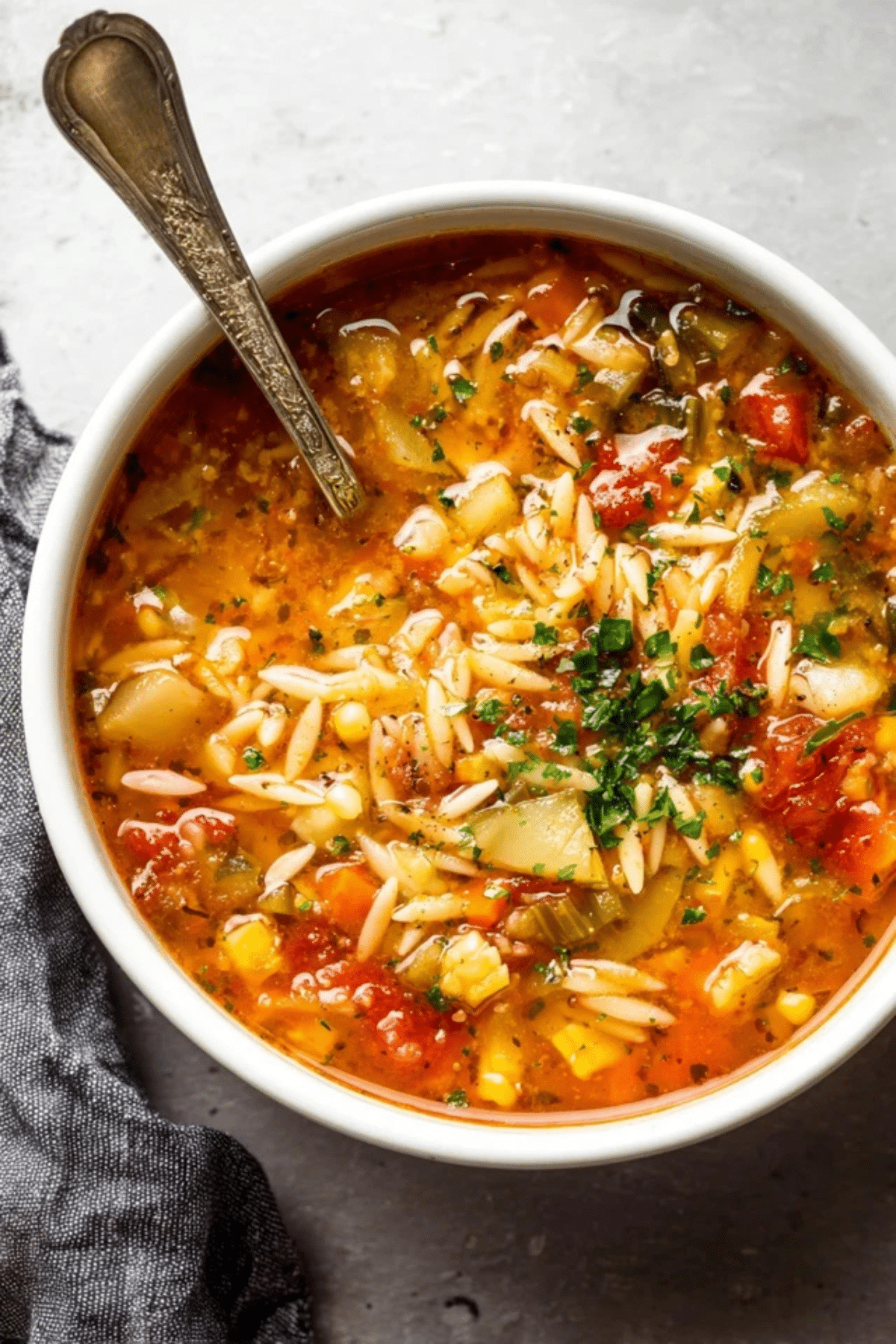 Vegetable Orzo Soup (1)